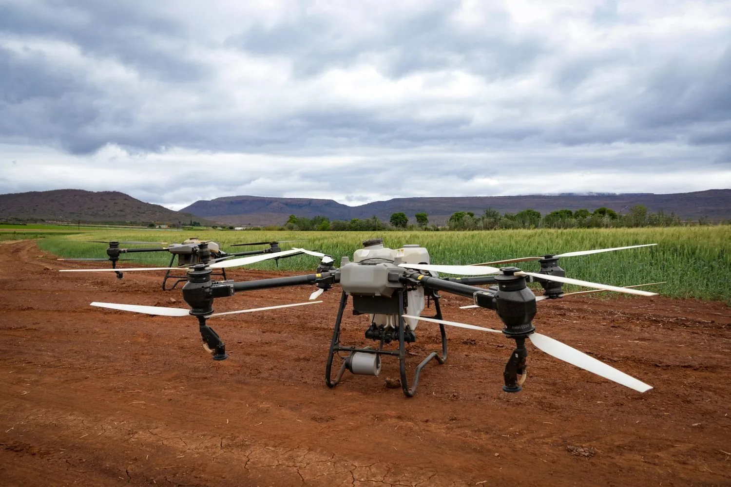 Drones de agricultura de precisión en el campo: saltando la maquinaria tradicional
