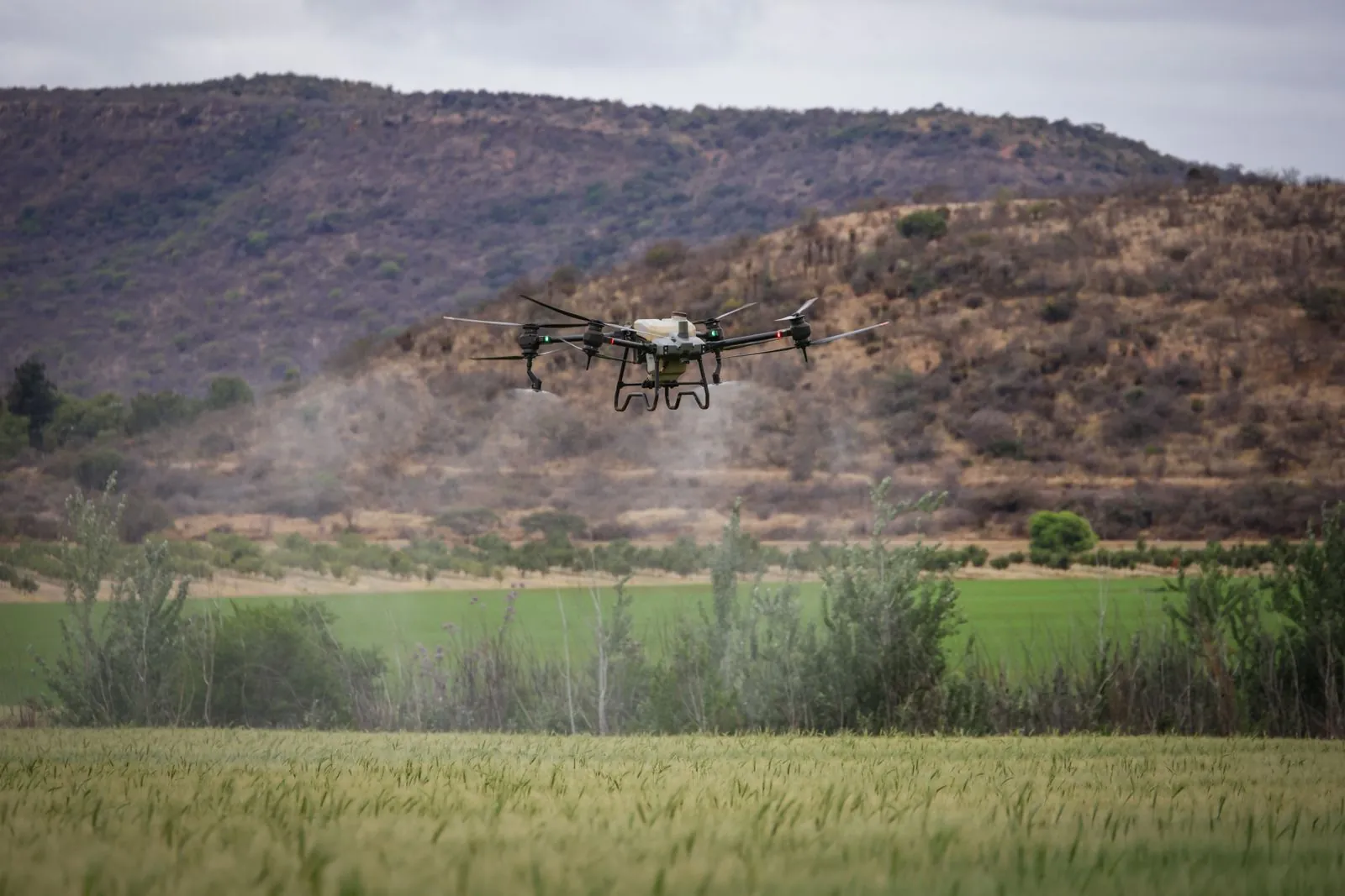 Dron agrícola fumigando un campo verde — una demanda clave en Nigeria
