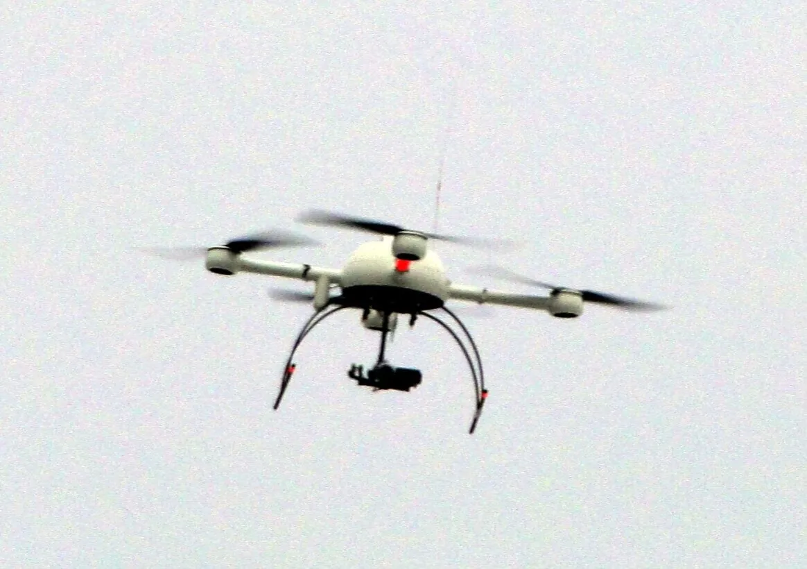 警用无人机作业（图片来源：Wikimedia Commons, Queensland Police Service, CC BY 4.0）
