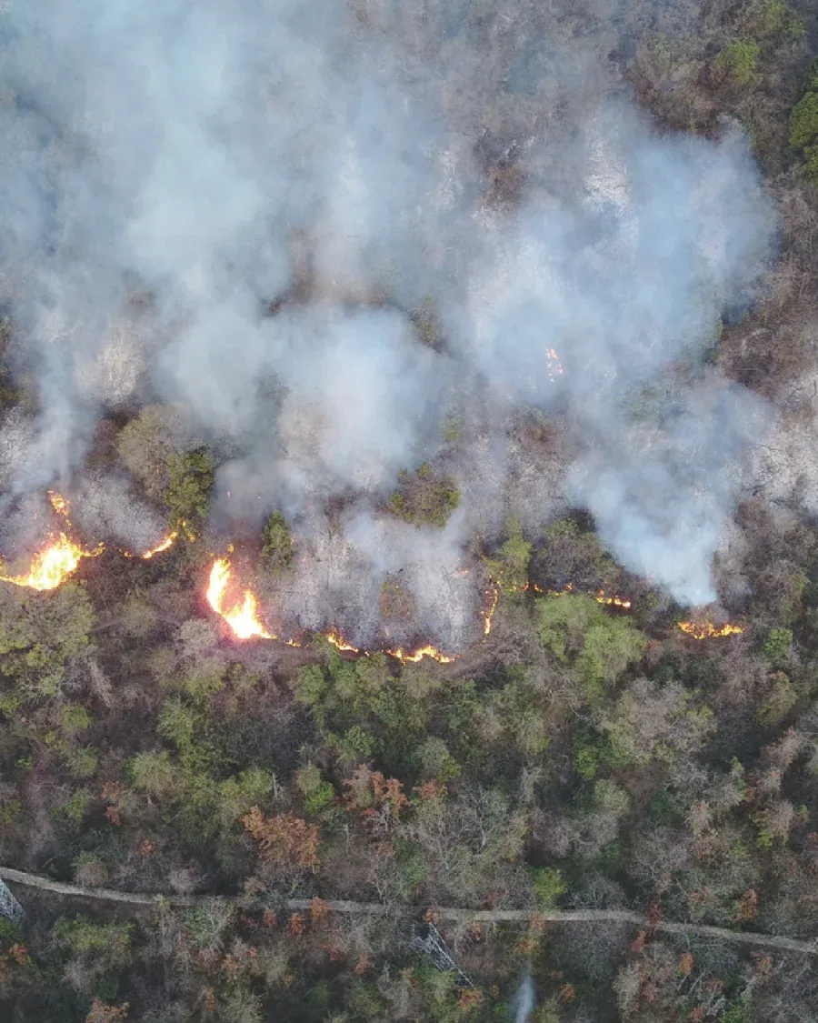 Bomberos